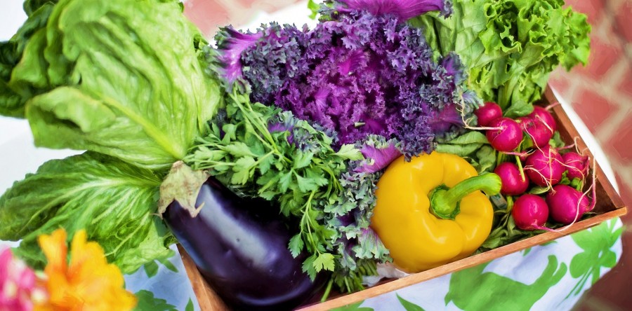 Tervezett bevásárlás